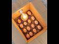 How to make a home incubator at home from a paper box