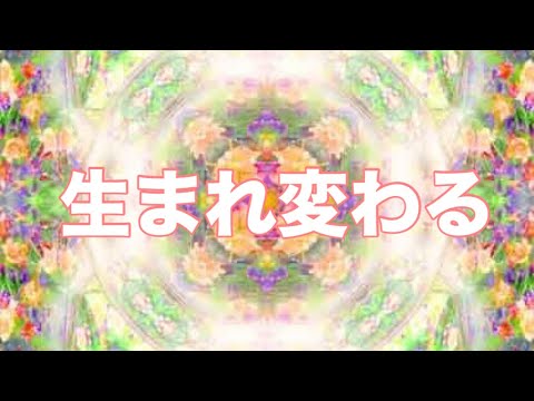 哲学科 生命は海から来たのだから