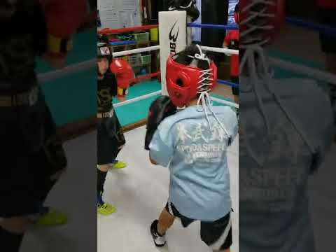 キッズボクシング🥊　スパーリング!?　練習風景！　#shorts　#short　#boxing　#ボクシング　#boxer　#キッズボクシング