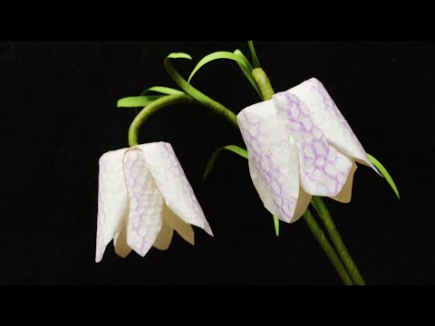ABC TV | How To Make Snake's Head Paper Flower - Craft Tutorial