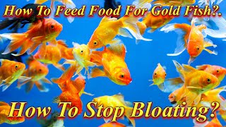 How To Feed Food For Gold Fish Without Causing Bloating Problem?. Overfeeding. / Fish Aquarium Tamil