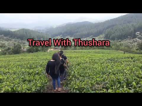 Travel with Thushara