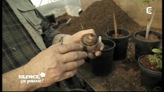 Pépinière Michel Lumen