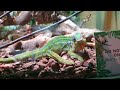 Visit To Hastings Aquarium With A Disability