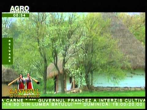 DAN SUCIU - Horincuta de malai