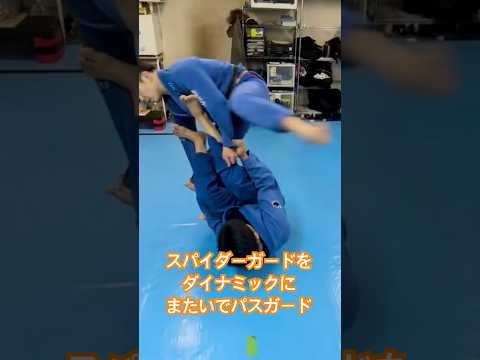スパイダーガードをダイナミックにまたいでパスガード　#bjj #柔術テクニック #jiujitsu