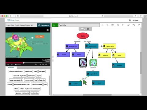 Product Overview