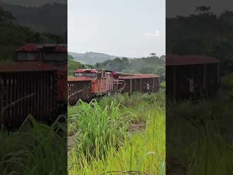 TREM GIGANTE DE BAUXITA CORTANDO A CHUVA EM NOVA VENEZA #brasil #goiás #train #railway #ferrovia
