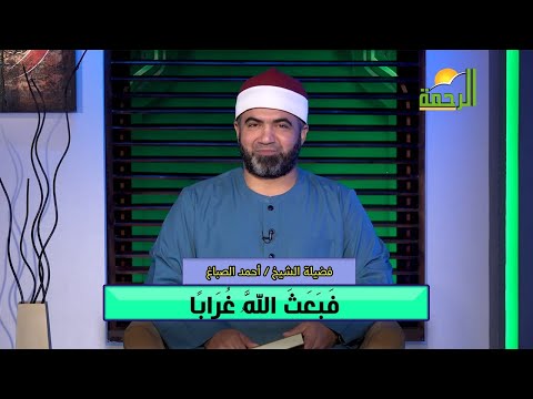 فَبَعَثَ اللَّهُ غُرَابًا | القصص الحق | فضيلة الشيخ: أحمد الصباغ
