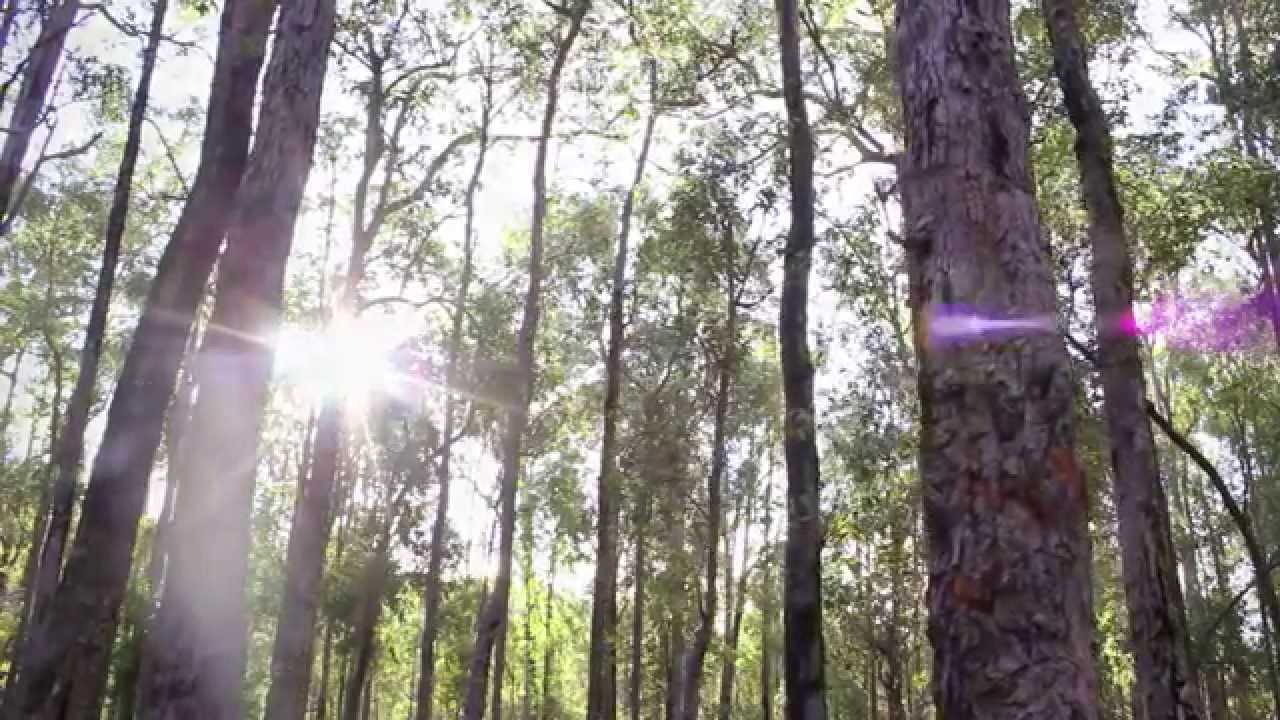 Nature Play WA Introduction to Camping Ep. 1 - Campsite Selection