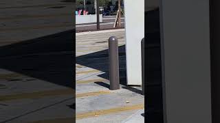 Download lagu customer #witwisnitzilla #tampa #wawa #banananutmuffins mp3