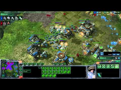 41. Dimaga (Z) vs Tarson (T) - game 2