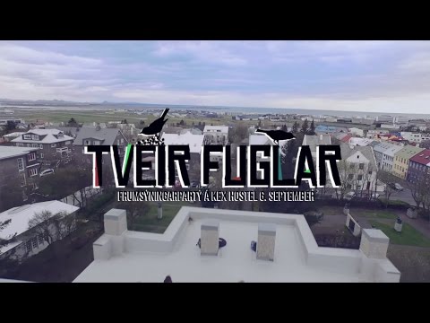 Munstur - Tveir fuglar (Official Video)