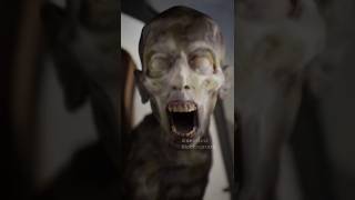 Welcome to the Zombie Apocalypse