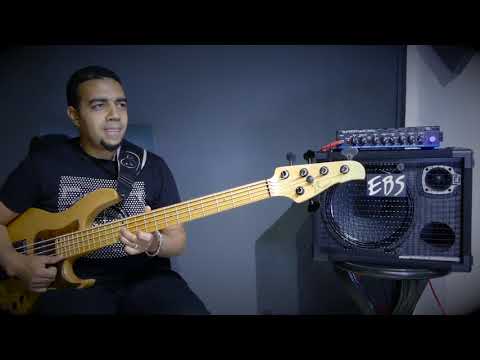 Усилитель басовый EBS Reidmar 502