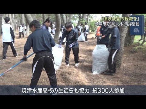 YouTube Video 高校生ら300人が防災林の清掃活動　静岡・焼津市