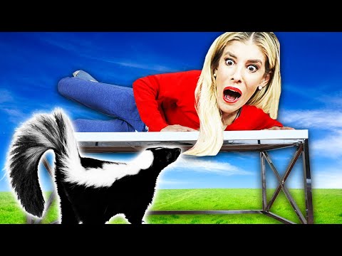 Worst Skunk Prank on Rebecca Zamolo in her House! Pranking wife for 24 HOURS in Real Life