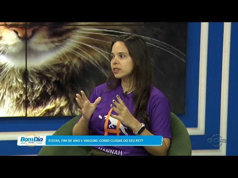Festas, fim de ano e viagens: Como cuidar do seu pet? 26 12 2022