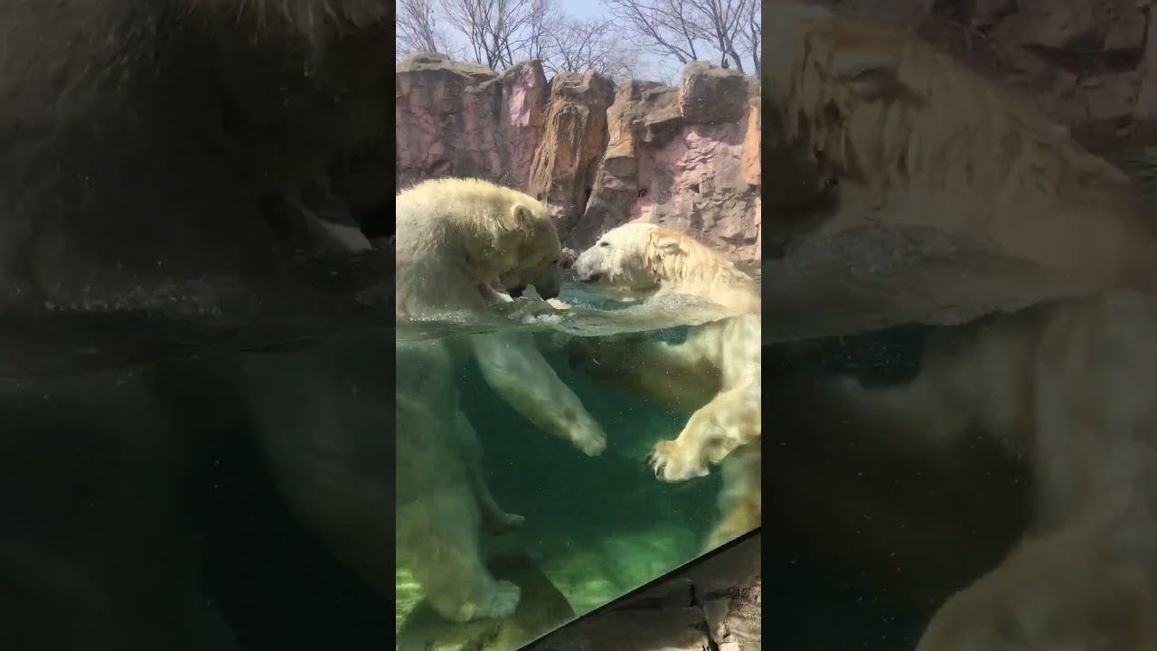 YouTube Short thumbnail