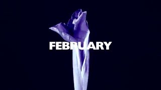 February - Hit Me