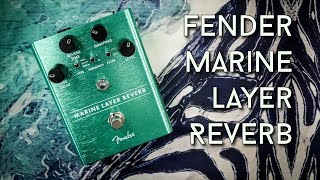 Video thumbnail for Fender Marine Layer Reverb Review by EytschPi42