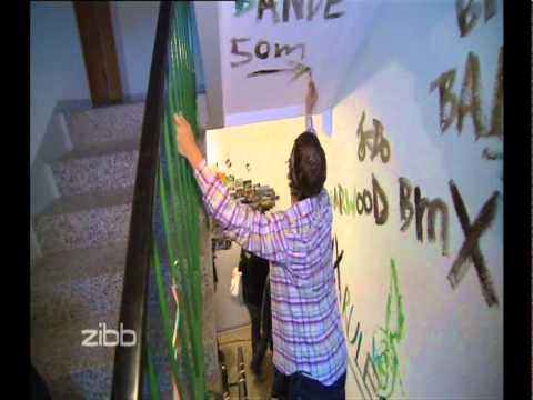 Plattenzauber Kunterbunt TV Bericht RBB Zibb