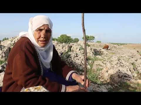 Koçer Belgeseli Ful