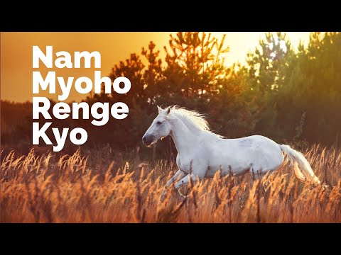 50mins with sansho start and finish - Gongyo Daimoku Fast chanting - 南無妙法蓮華經 Nam Myoho Renge Kyo.