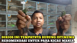 Download lagu GUDANGNYA BURUNG ISTIMEWA REKOMENDASI BUAT PARA KICAU MANIA KIOS LANGGENG JAYA PASAR BURUNG PRAMUKA mp3 Download lagu GUDANGNYA BURUNG ISTIMEWA REKOMENDASI BUAT PARA KICAU MANIA KIOS LANGGENG JAYA PASAR BURUNG PRAMUKA mp3