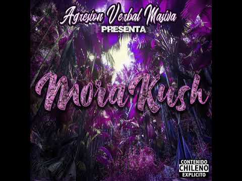 AGRESIÓN VERBAL MASIVA - Tu que dices?