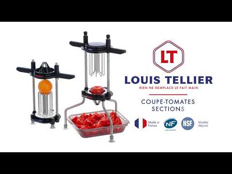 Cuit-vapeur électrique Louis Tellier 15 L - CHR