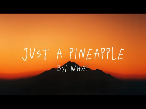 Just A Pineapple - BOI WHAT (Lyrics)