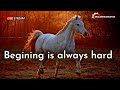 Beginning Is Always Hard Status