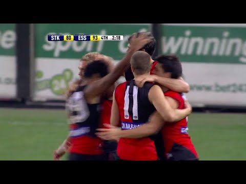 Essendon Highlights - Rd 8 2010 v St Kilda