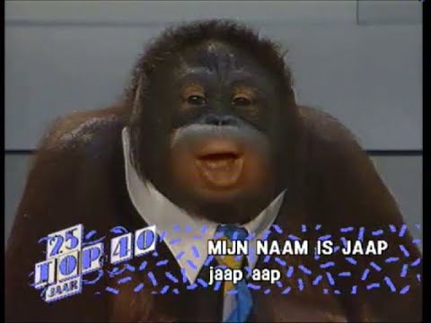 Mijn Naam Is Jaap - André van Duin
