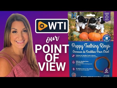 N-Bone Puppy Teething Ring Pumpkin Flavor 7.2 Oz/(6 Count) - WTI product video review