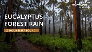 Rainy Eucalyptus Forest - 10 Hours Sleep Sound - Black Screen