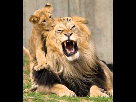 Elephantman and Alozade - Bombaclaat 2012 (by Bongdan)