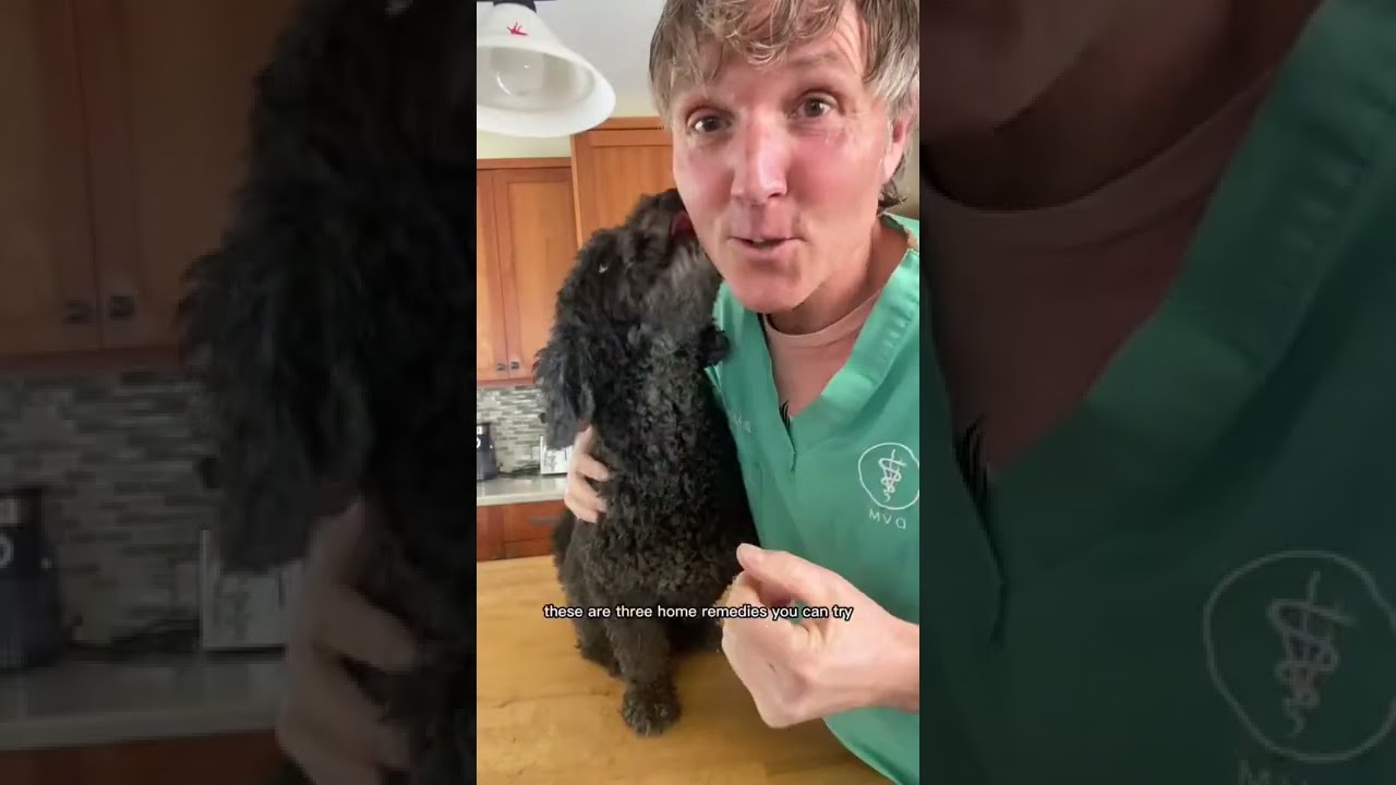 Is it normal for dogs to have dark spots on their gums? Tipseri