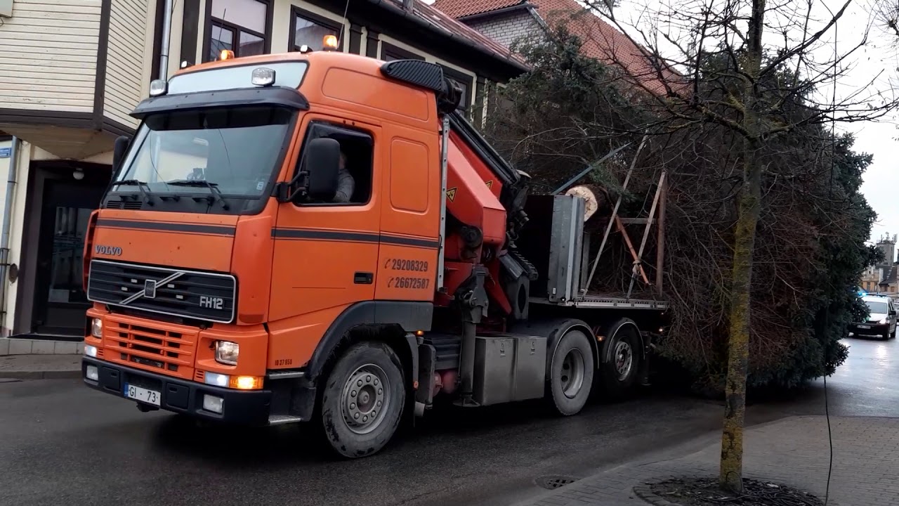 Atceļojusi Ziemassvētku eglīte! /VIDEO/