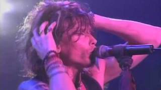 Aerosmith - I Don&#39;t Want to Miss A Thing (Live in Japan)