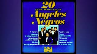 20. 𝐂𝐨𝐦𝐨 𝐄𝐬 𝐏𝐨𝐬𝐢𝐛𝐥𝐞-𝐋𝐨𝐬 𝐀𝐧𝐠𝐞𝐥𝐞𝐬 𝐍𝐞𝐠𝐫𝐨𝐬