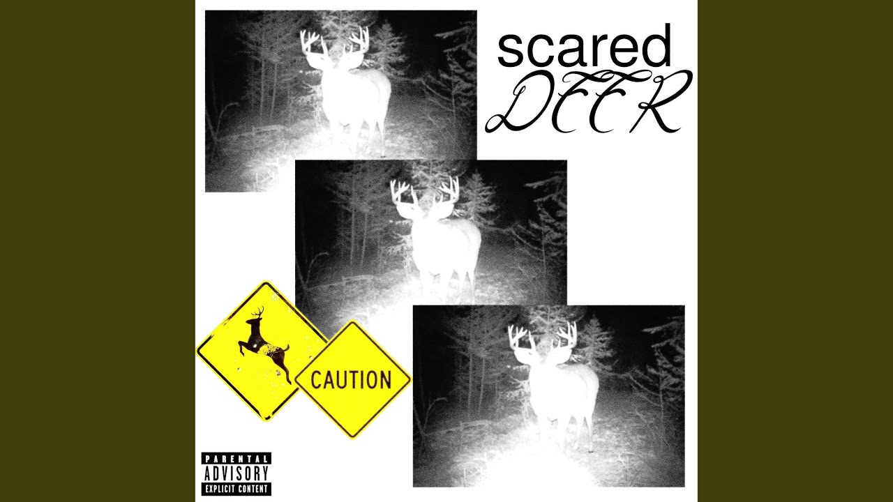 Scared Deer (feat. RHINOO!)