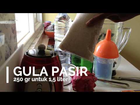 download lagu mp3 mp4 Pitaya Wine, download lagu Pitaya Wine gratis, unduh video klip Pitaya Wine