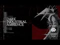 Grim Dark Industrial Ambience インダストリアル