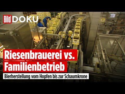 Bier – Die Herstellung vom Hopfen bis zur Schaumkrone | BILD Doku