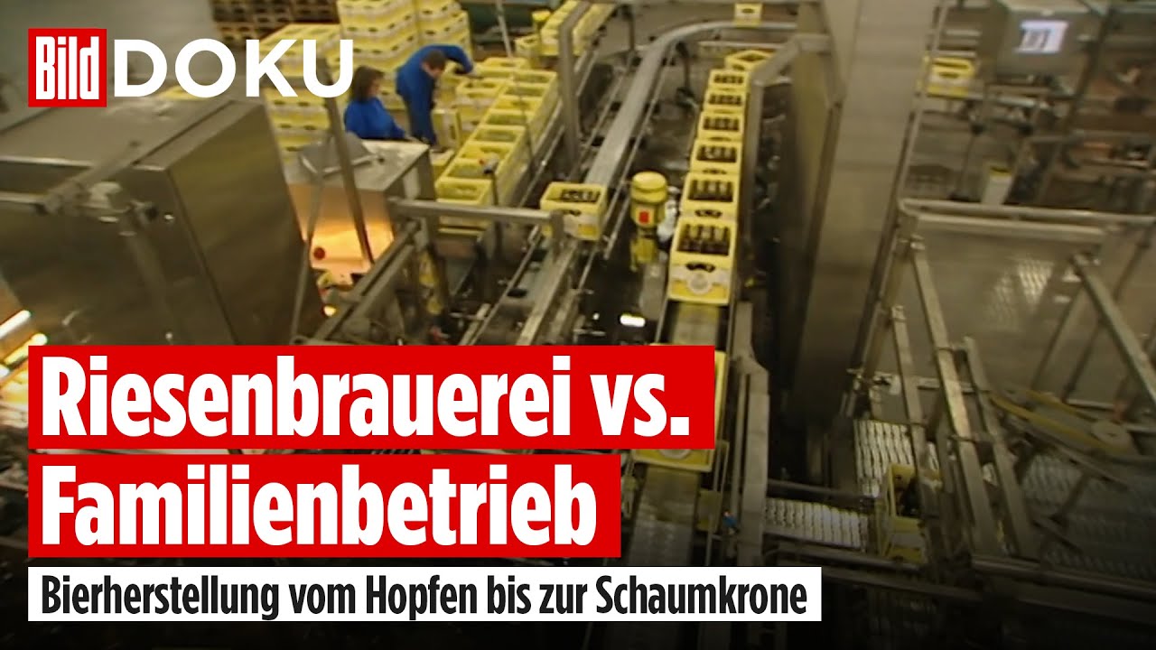 Bier – Die Herstellung vom Hopfen bis zur Schaumkrone | BILD Doku