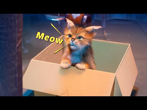 Pop Match:Doll Rescue&Puzzles Video