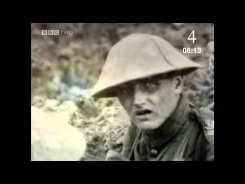 Erster Weltkrieg 2 Löwen von Eseln geführt