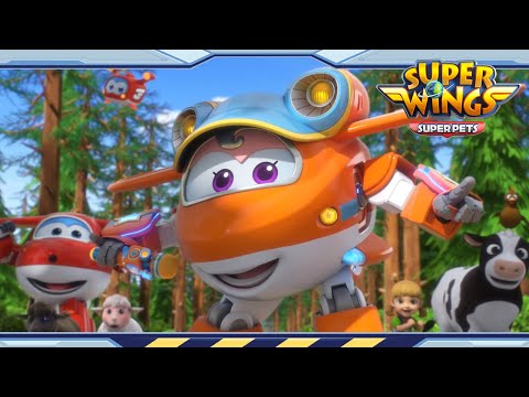 Witness21 Editor  2022 06 11